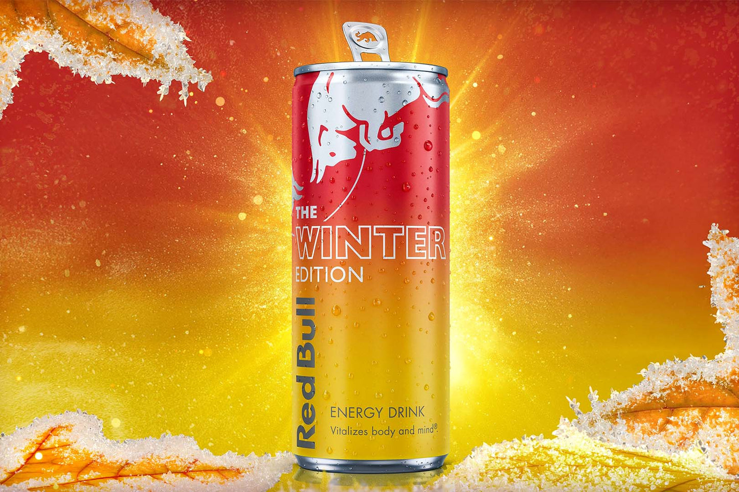 Red Bull Energy 250ml Drinks