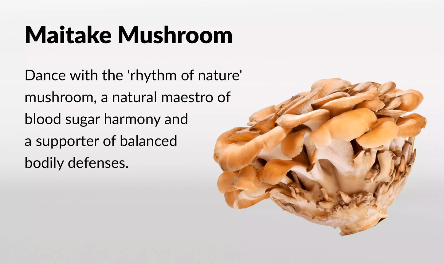 Innooova Starshrooms Nootropic Mushroom Gummies Vegan Friendly