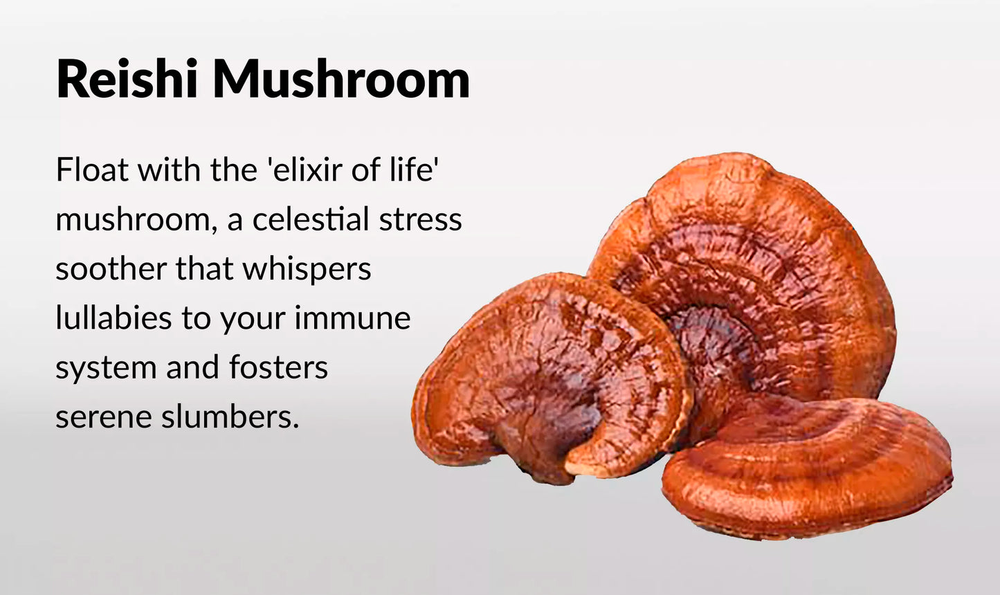 Innooova Starshrooms Nootropic Mushroom Gummies Vegan Friendly