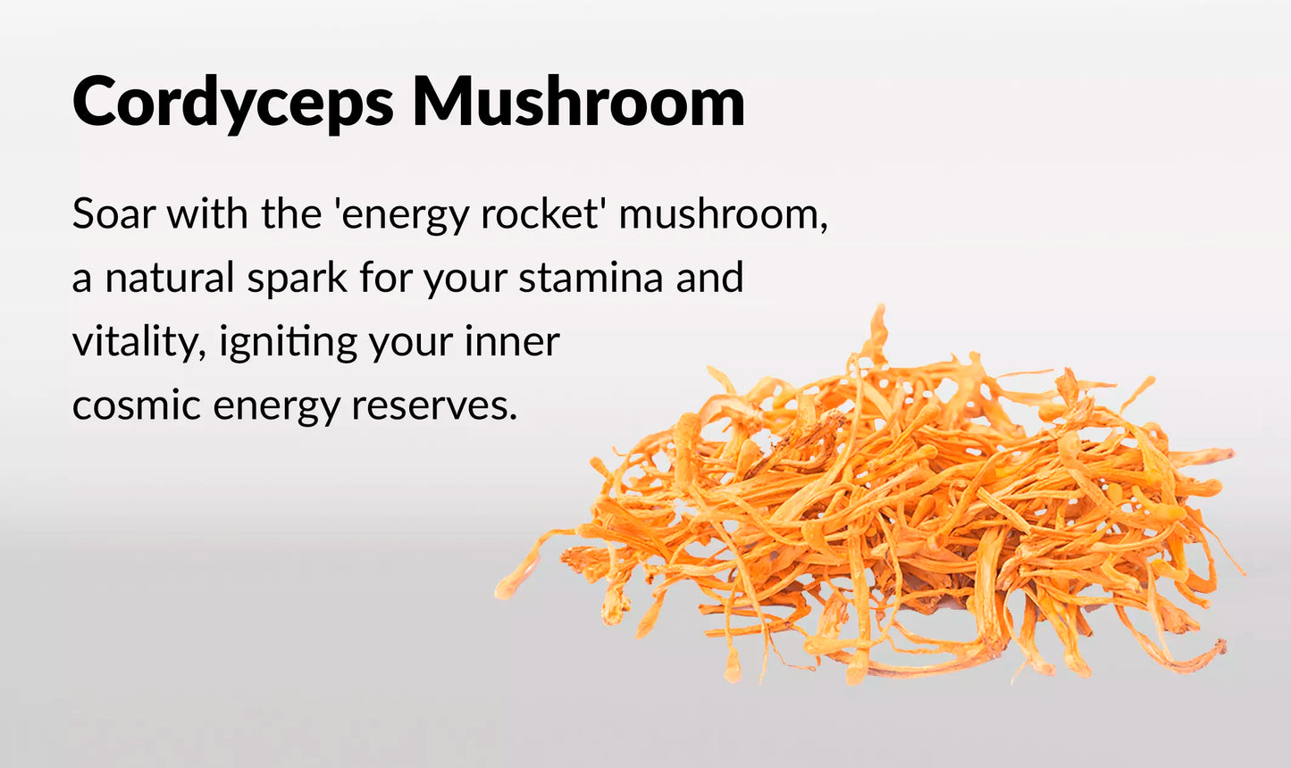 Innooova Starshrooms Nootropic Mushroom Gummies Vegan Friendly
