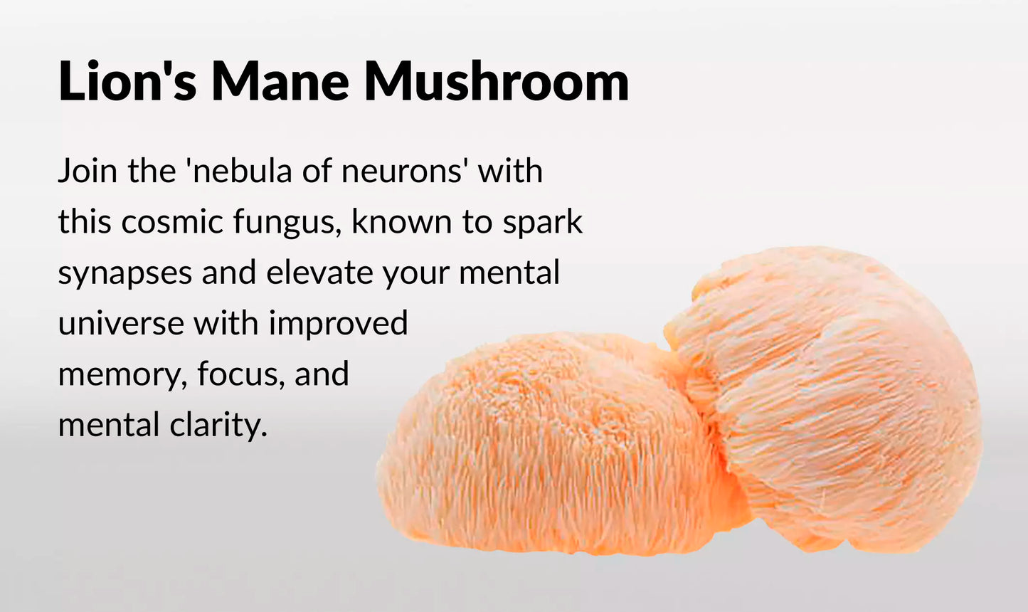 Innooova Starshrooms Nootropic Mushroom Gummies Vegan Friendly