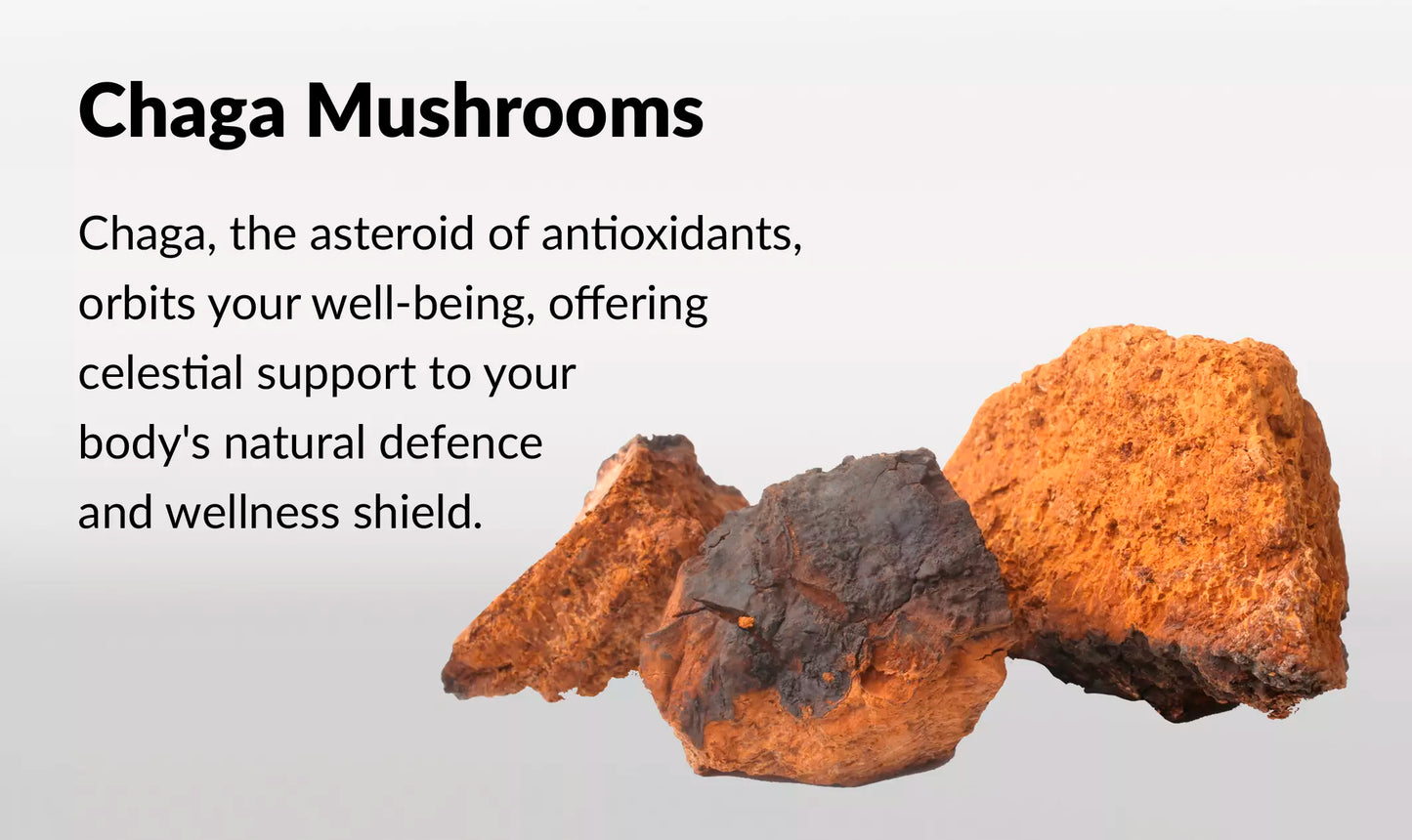 Innooova Starshrooms Nootropic Mushroom Gummies Vegan Friendly