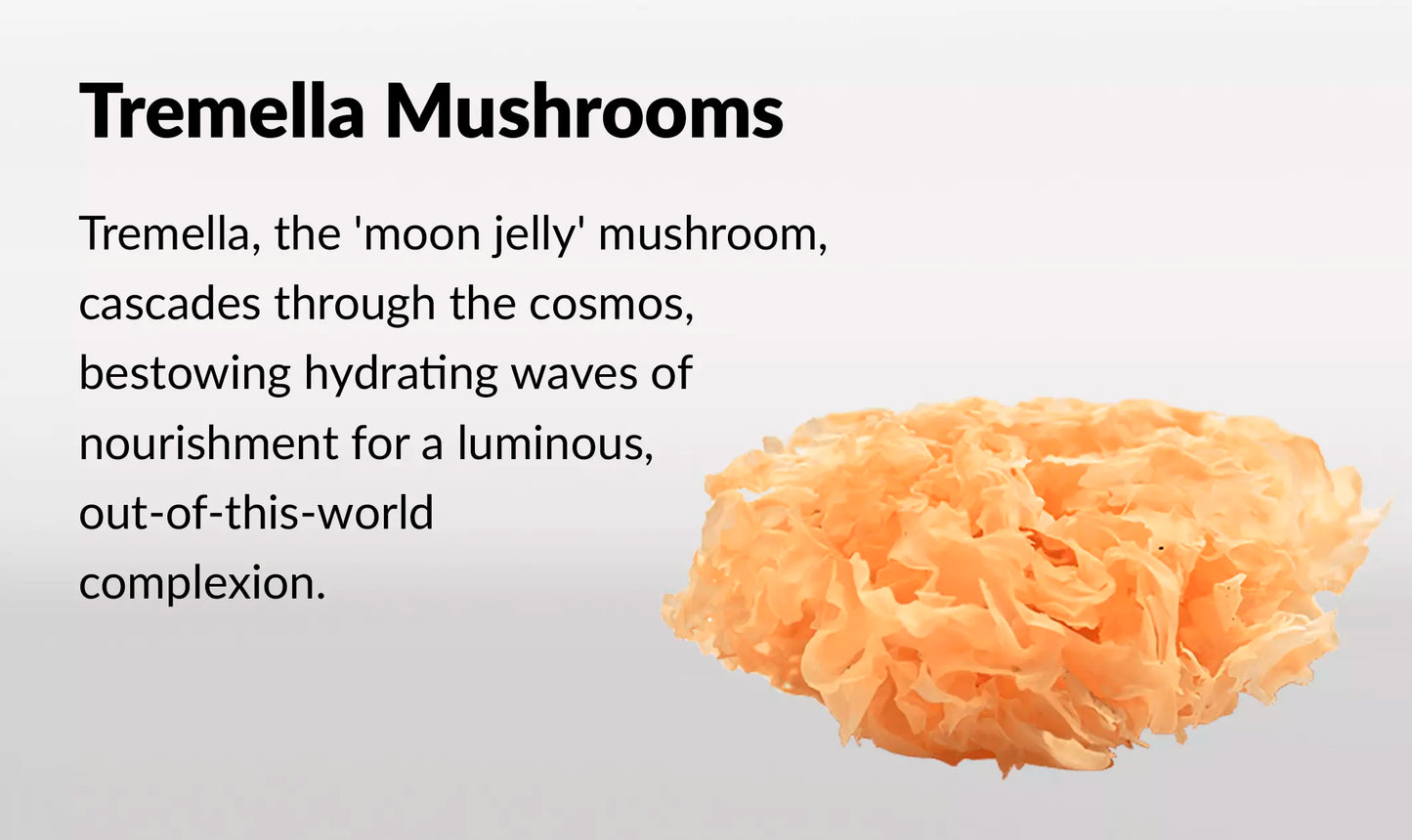 Innooova Starshrooms Nootropic Mushroom Gummies Vegan Friendly