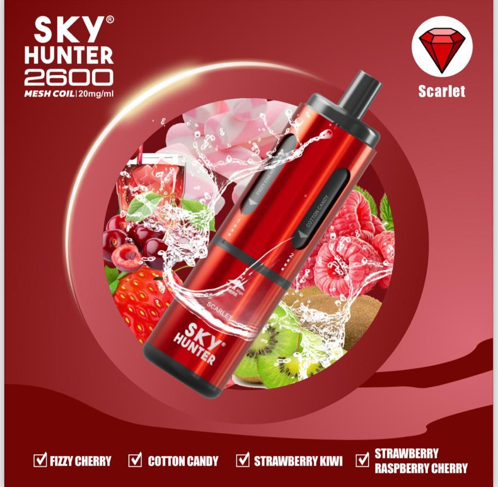 4 in 1 Sky Hunter 2600 Puffs Disposable Vape - (BOX OF 5)