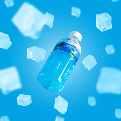 Mogu Mogu Nata De Coco 320ml Drink Bottles