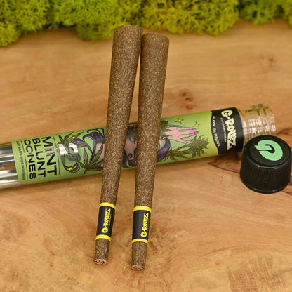 G Rollz Cheech & Chong Pre Rolled Cones 2pc Glass Tube