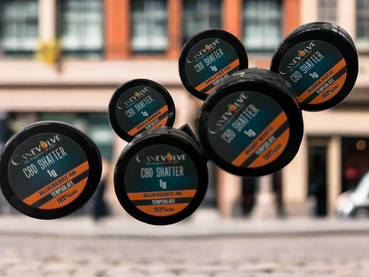 Canevolve 99% CBD Shatter 1g