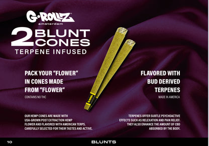 G Rollz Cheech & Chong Pre Rolled Cones 2pc Glass Tube