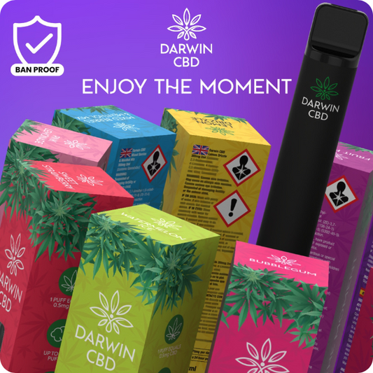 Darwin CBD 300mg Isolate Pre-Filled Pod Vape Kit 600 Puffs