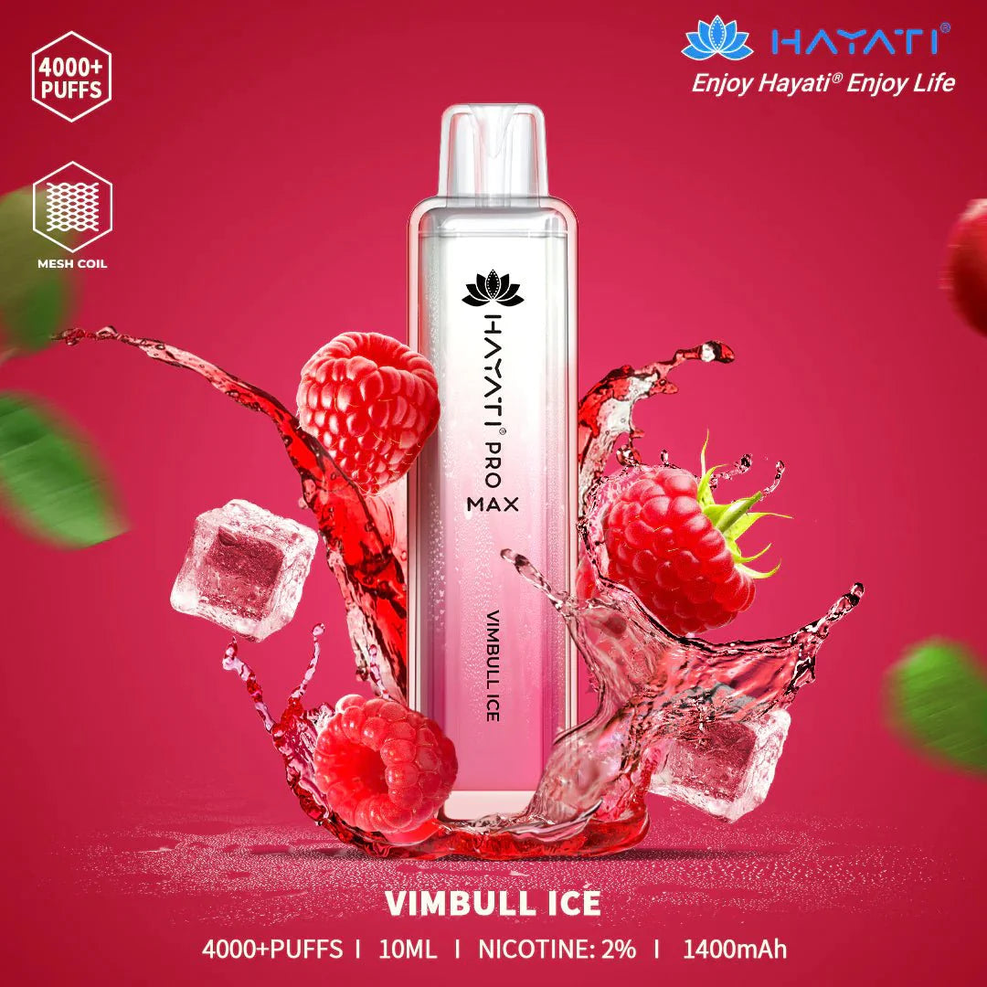 Hayati Pro Max 4000 Disposable Vape